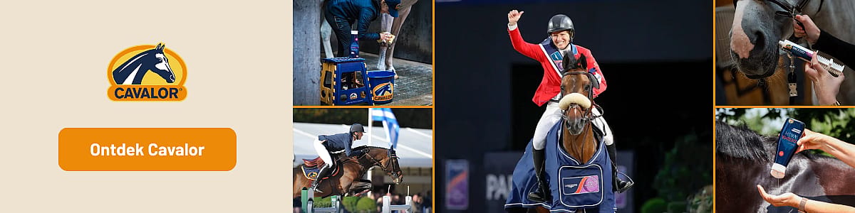 Mensen, Persoon, Ruitersport, Paard, Zoogdier, Mensen, Persoon, Ruitersport, Paard, Zoogdier